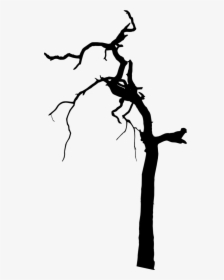 Spooky Tree Silhouette Png, Transparent Png, Free Download