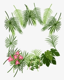Transparent Palm Leaves Clipart - Border Tropical Leaves Png, Png Download, Free Download