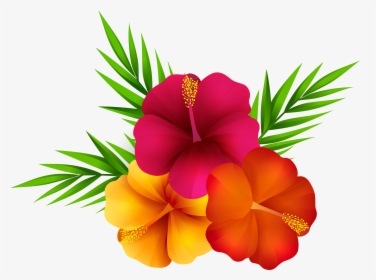 Exotic Flowers Png Clip Art Image - Tropical Flowers Transparent Background, Png Download, Free Download