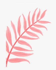 #tropical #red #tumblr #aesthetic #overlay - Flower Frame Tumblr Png, Transparent Png, Free Download