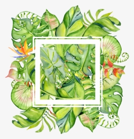 Painted Tropical Leaves Frame Png Transparent About - Border Tropical Leaves Png, Png Download, Free Download