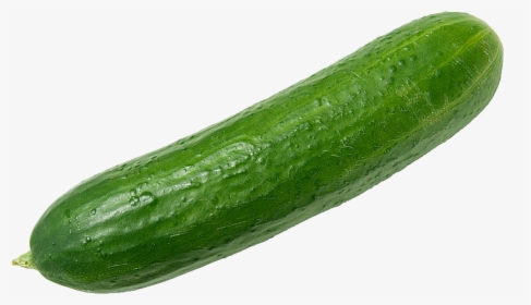 Cucumbers Png Clipart - Cucumber Png, Transparent Png, Free Download