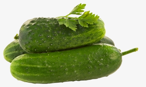 Cucumbers Png - Cucumber Png, Transparent Png, Free Download