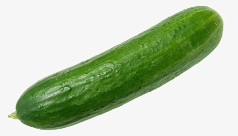 Single Cucumber Png Image Background - Cucumber Transparent, Png Download, Free Download