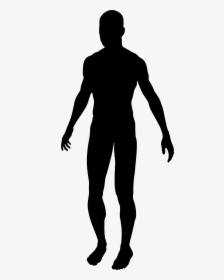 Human Clipart Human Silhouette - Silhouette Of A Male, HD Png Download, Free Download