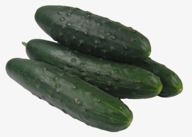 Pickled Cucumber Vegetable Spreewald Gherkins - Cucumber, HD Png Download, Free Download