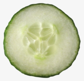 Cucumbers Png Image - Transparent Background Cucumber Slice Png, Png Download, Free Download
