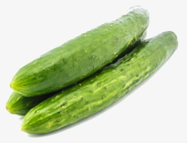 Cucumber Png Images - Japanese White Cucumber, Transparent Png, Free Download