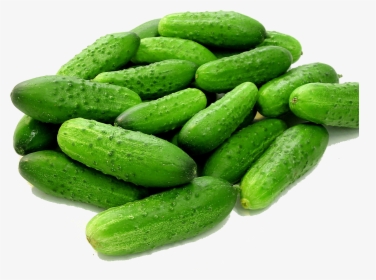 Cucumbers Transparent Background - Cucumber On White Background Hd, HD Png Download, Free Download