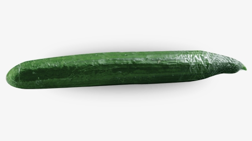 Single Cucumber Png Image - Zucchini, Transparent Png, Free Download