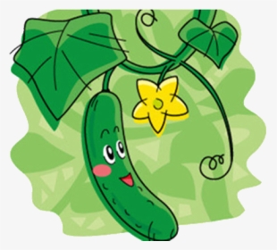 Vegetable Cucumber Cartoon Illustration Hq Image Free - Cucumber, HD Png Download, Free Download