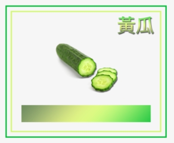 Transparent Cucumber Png - Cucumber, Png Download, Free Download