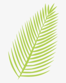 Palm Leaf Svg Cut File - Palm Leaves Svg, HD Png Download, Free Download