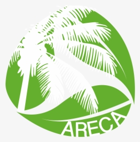 Areca Nut Tree Design, HD Png Download, Free Download
