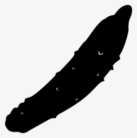 Cucumber - Chorizo Vector Png, Transparent Png, Free Download