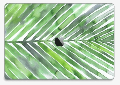 Palm Leaves Skin Macbook Pro 15” 2016- - Saw Palmetto, HD Png Download, Free Download