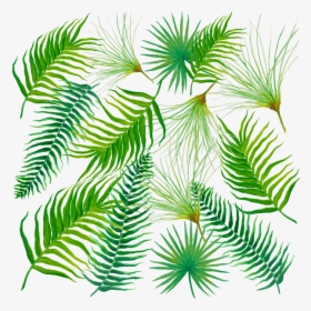 Fern Leaves With Flower, HD Png Download, Free Download