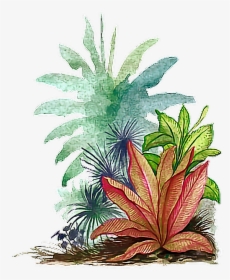 #watercolor #leaves #tropical - Tropical Leaf Png Transparent, Png Download, Free Download