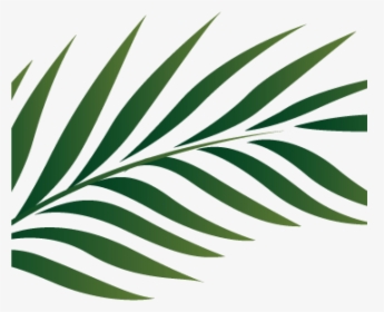 Palm Clipart Palm Branch Image Free Cliparts That You - Palm Tree Leaf Png, Transparent Png, Free Download
