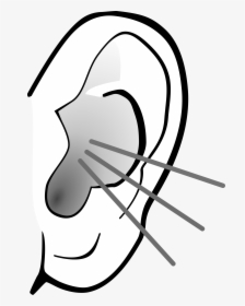 Listening Ear Png, Transparent Png, Free Download