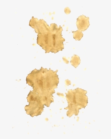 Coffee Stains Png, Transparent Png, Free Download
