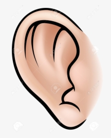 Ear An Illustration Of Human Body Part Clipart Ears - Parts Of Body Ear, HD Png Download, Free Download