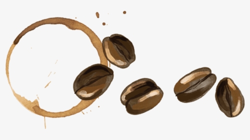 Coffee Bean Stain - Wood, HD Png Download, Free Download