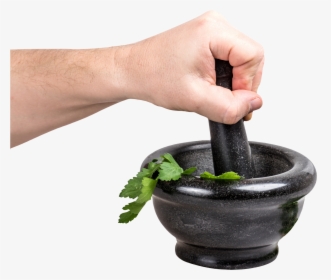 Parsley In Bowl - Houseplant, HD Png Download, Free Download