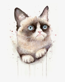 Grumpy Cat Watercolor, HD Png Download, Free Download
