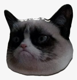 Grumpy Cat Pin - Grumpy Cat Face Transparent, HD Png Download, Free Download