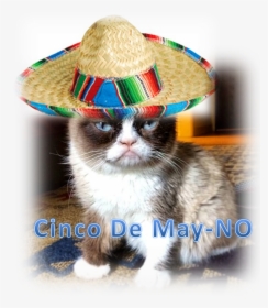 Grumpy Cat Mean Memes, HD Png Download, Free Download