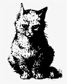 Art,monochrome Photography,carnivoran - Schrodinger's Cat Transparent Background, HD Png Download, Free Download