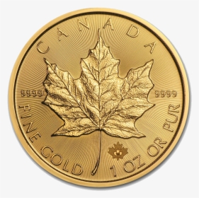 Free Falling Gold Coins Png - 2019 1 Oz Gold Maple Leaf, Transparent Png, Free Download