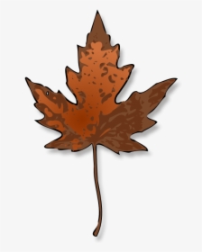 Tree,plant,leaf - Brown Maple Leaf Clipart, HD Png Download, Free Download