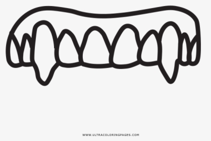 Vampire Fangs Coloring Page - Line Art, HD Png Download, Free Download