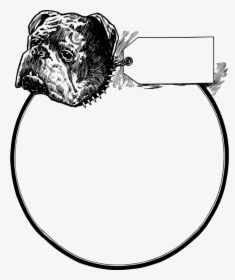 Pitbull Frame - Clip Art, HD Png Download, Free Download