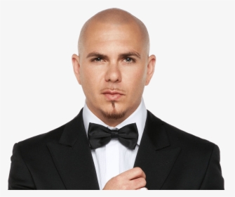 Pitbull With Bow Tie - Pitbull Singer, HD Png Download, Free Download