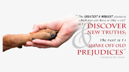 Shaking Hands With Quote - Dog Paw In Hand, HD Png Download, Free Download