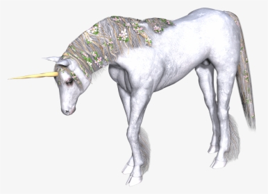 Full White Unicorn Head Down - Unicorns Transparent, HD Png Download, Free Download