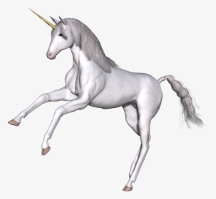 Full White Unicorn Front Legs Up - Unicorns Transparent, HD Png Download, Free Download