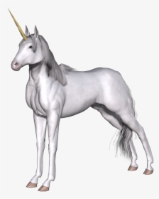 Full White Unicorn - White Unicorn Transparent Background, HD Png Download, Free Download