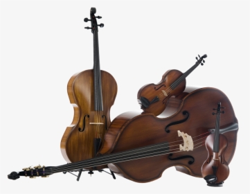 Ricci Family - Orchestra Instruments Png, Transparent Png, Free Download