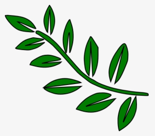 Long Leaf Clipart - Clipart Stem, HD Png Download, Free Download
