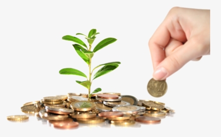 Real Estate Investment Png Transparent Images - Indian Money Tree Png, Png Download, Free Download