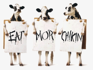 Svg Black And White Download Chick Fil A Clipart, Hd - Chickfila Cows, HD Png Download, Free Download