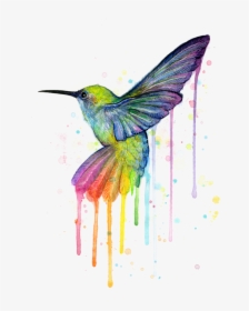 Hummingbird Of Watercolor Rainbow, HD Png Download, Free Download