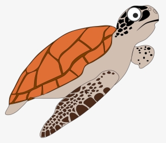 Loggerhead Sea Turtle Cartoon, HD Png Download, Free Download