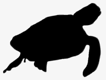 Silhouette Of A Sea Turltle, HD Png Download, Free Download
