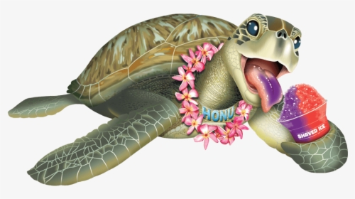 Kemp's Ridley Sea Turtle, HD Png Download, Free Download