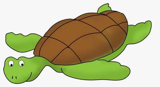 Turtle Clip Art Png - Sea Turtles Clip Art, Transparent Png, Free Download